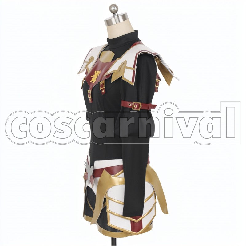 Astolfo cosplay costume from Fate Apocrypha, side view 4
