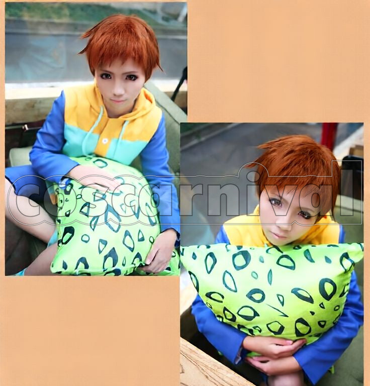 Seven Deadly Sins King / Harlequin Cosplay cosplay costume from The, front view