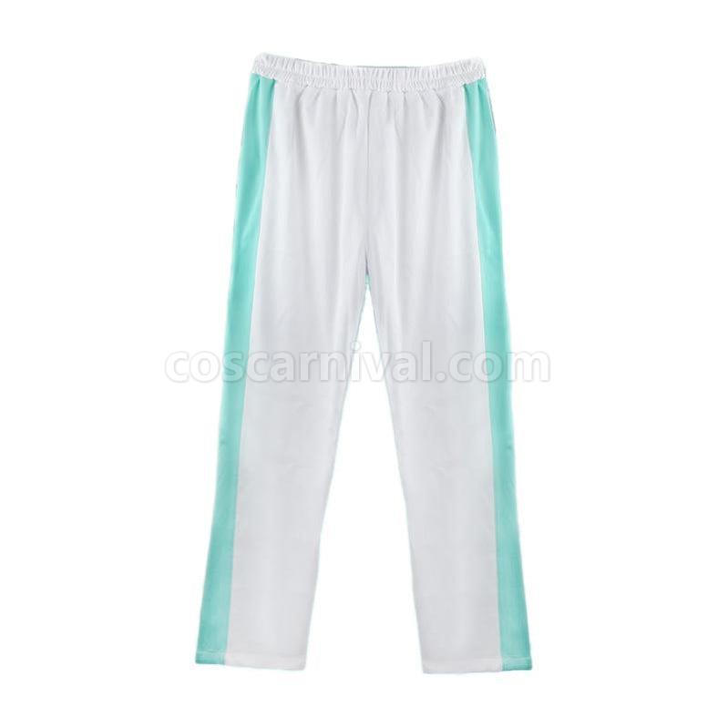 Haikyuu Aobajohsai High Jacket Uniform Oikawa Tooru Cosplay Costume, back view