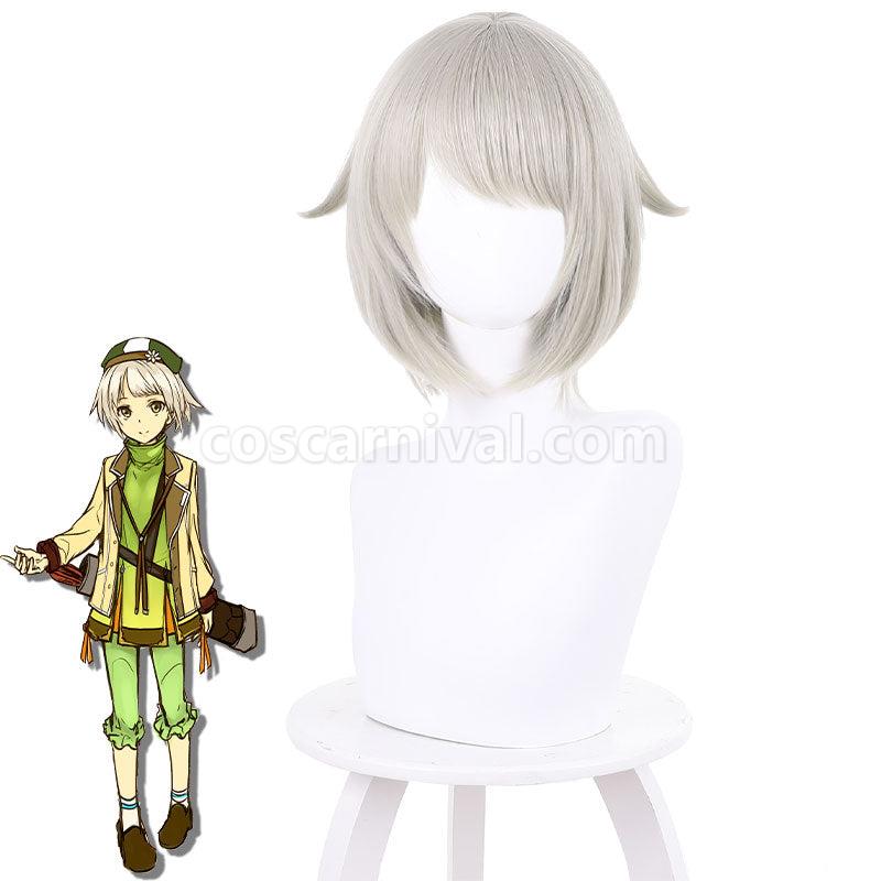 Shikkaku Mon no Saikyou Kenja Arma Lepsius Grey Long Cosplay Wigs coscarnival01118494