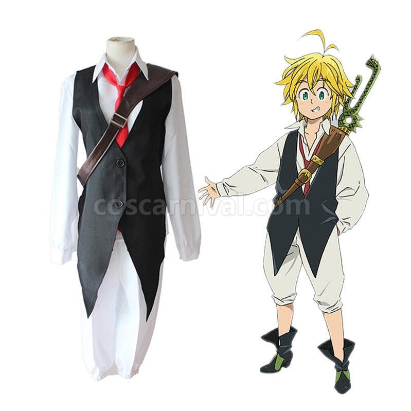 The Seven Deadly Sins Meliodas Cosplay Costume coscarnival011116243