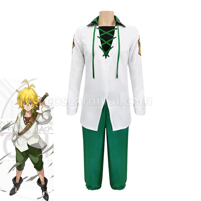 The Seven Deadly Sins Meliodas Cosplay Costumes coscarnival01117917