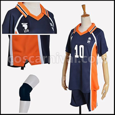 Haikyuu!! Shoyo Hinata Karasuno High School Volleyball Club Number 10 Uniform Cosplay Costume coscarnival - Back View