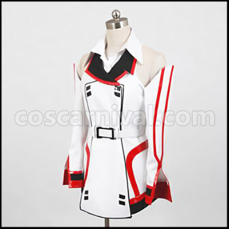 IS Infinite Stratos Houki Shinonono Cosplay Costume coscarnival - Back View