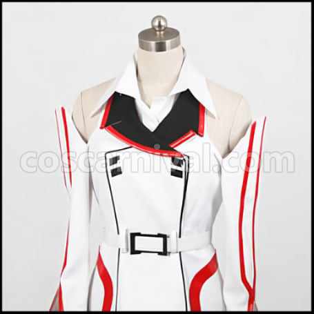 IS Infinite Stratos Houki Shinonono Cosplay Costume coscarnival - Detail Close-up