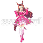 Umamusume: Pretty Derby Kawakami Princess Cosplay Outfit