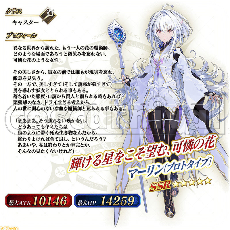 Fate/Grand Order Prototype Cosplay Costume