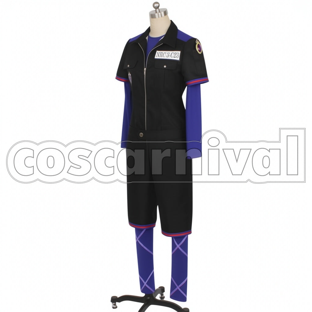 Disney Twisted-Wonderland PE Uniform Pomefiore Dorm Vil Schoenheit Cosplay Costume