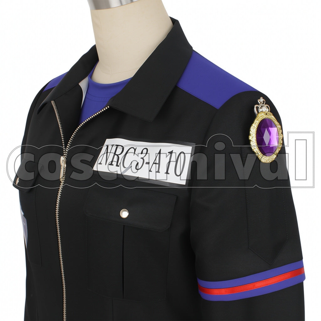 Disney Twisted-Wonderland PE Uniform Pomefiore Dorm Rook Hunt Cosplay Costume