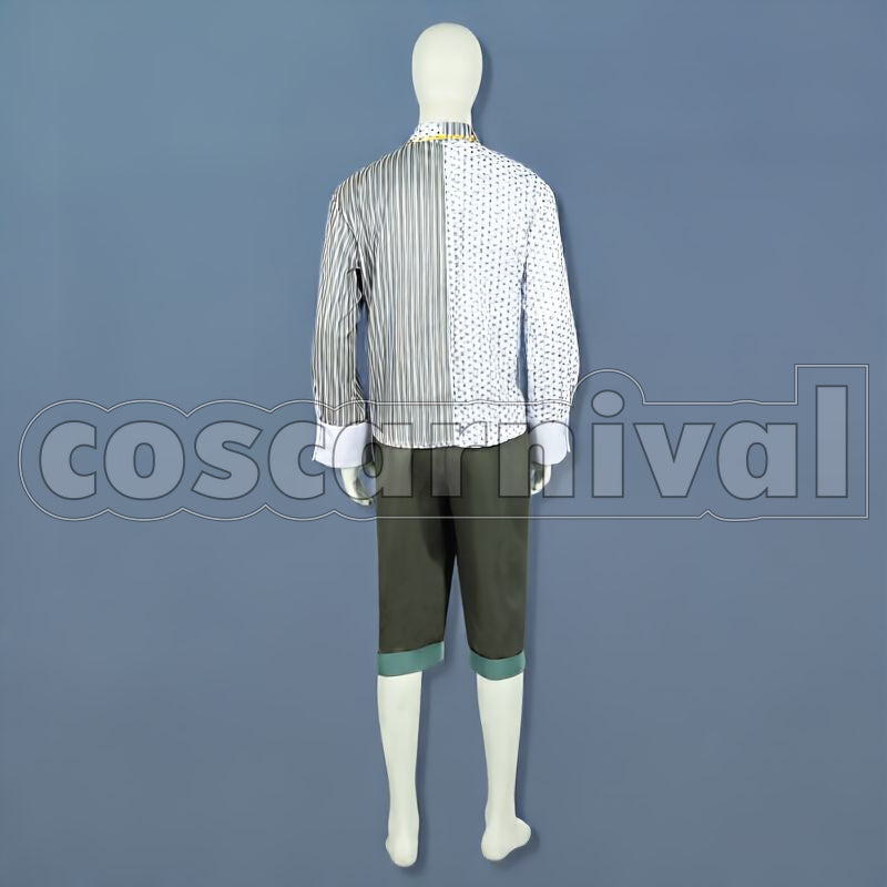 Cosplay cosplay costume from BUSTAFELLOWS Scarecrow, back view 2