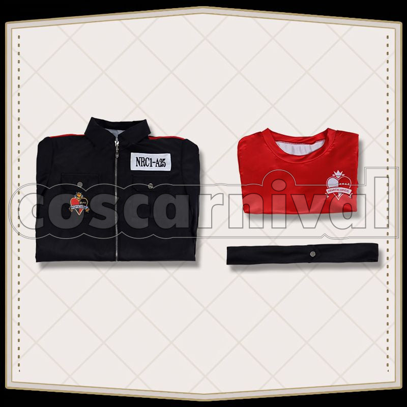 Trappola Heartslabyul PE Uniform Cosplay cosplay costume from Disney Twisted-Wonderland Ace, set view