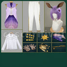 Howl Night Sky's Chiffon Cosplay cosplay costume from Disney Twisted-Wonderland Jack, set view