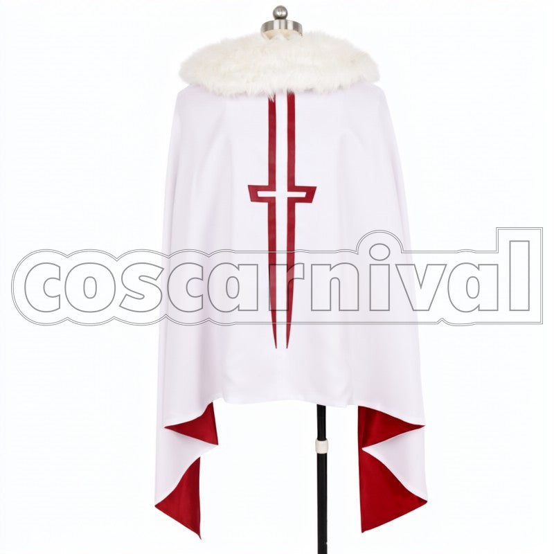 Astolfo cosplay costume from Fate Apocrypha, back view