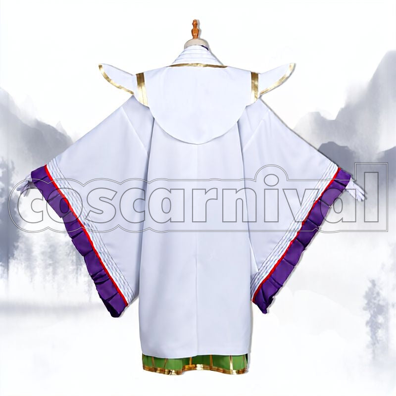 Chen Gong Caster 3rd Ascension Cosplay cosplay costume from Fate/Grand Order, back view 1