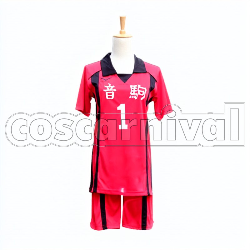 Haikyu!! cosplay costume, front view