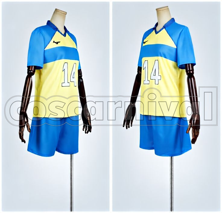 Academy Aoi Himekawa Uniform Cosplay cosplay costume from Haikyu!! Tsubakihara, front view 2