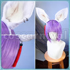Rail Feixiao Cosplay cosplay costume from Honkai: Star, detail-16