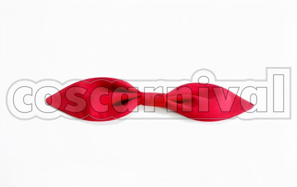Lee Casual Wear cosplay costume from Macross Frontier Ranka, detail-2