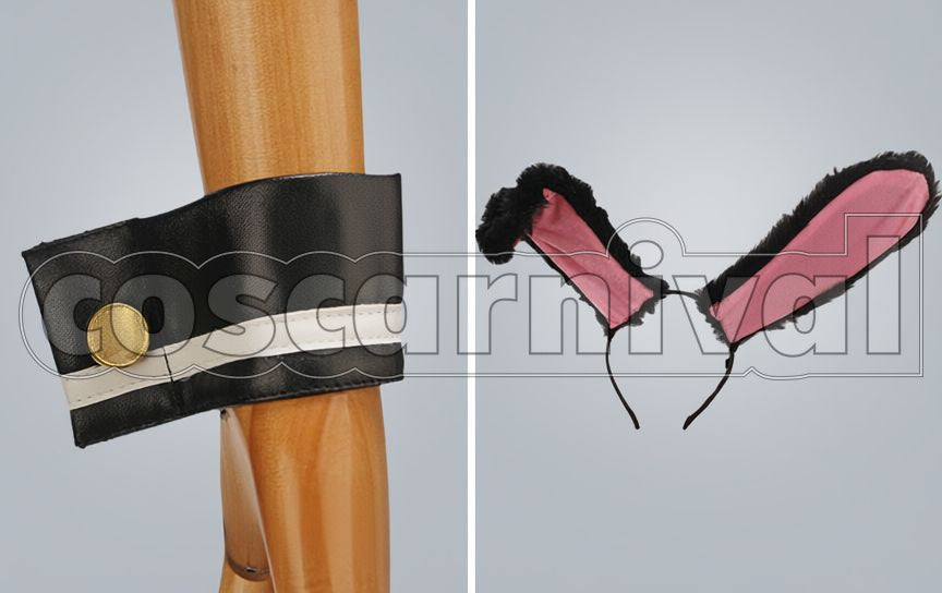 Sonic Super Pochaco Bunny Ver. Cosplay cosplay costume from Nitro Super, detail-4