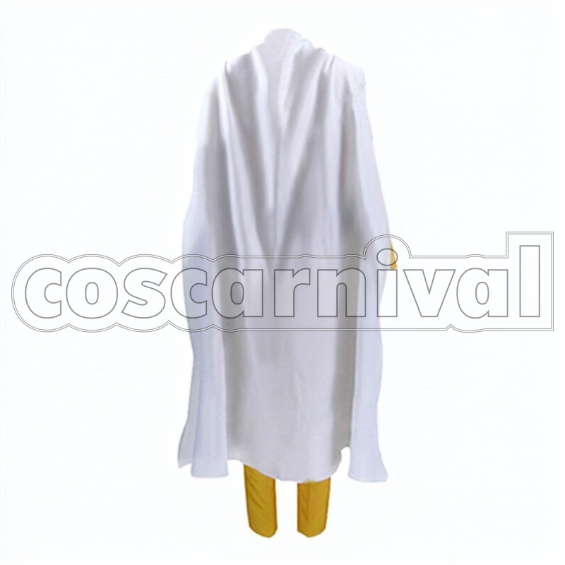 Saitama cosplay costume from One-Punch Man, back view