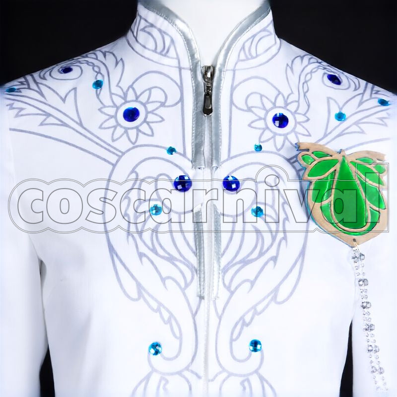 Heathcliff Eastern Country 1st Anniversary * Flowers for You, Magic for the Sky Cosplay cosplay costume from Promise of Wizard, detail-1