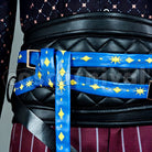 Snow Northern Country Memoir of the Starry Sky Cosplay cosplay costume from Promise of Wizard, detail-6