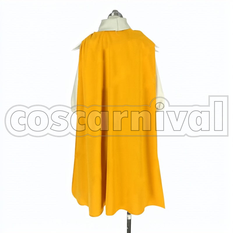 Son Goku cosplay costume from Saiyuki Reload Blast, back view