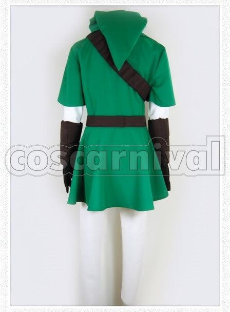 Zelda: The Wind Waker Link cosplay costume from The Legend of, back view