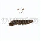 Smart Falcon Race Outfit Cosplay cosplay costume from Umamusume: Pretty Derby, accessory set view