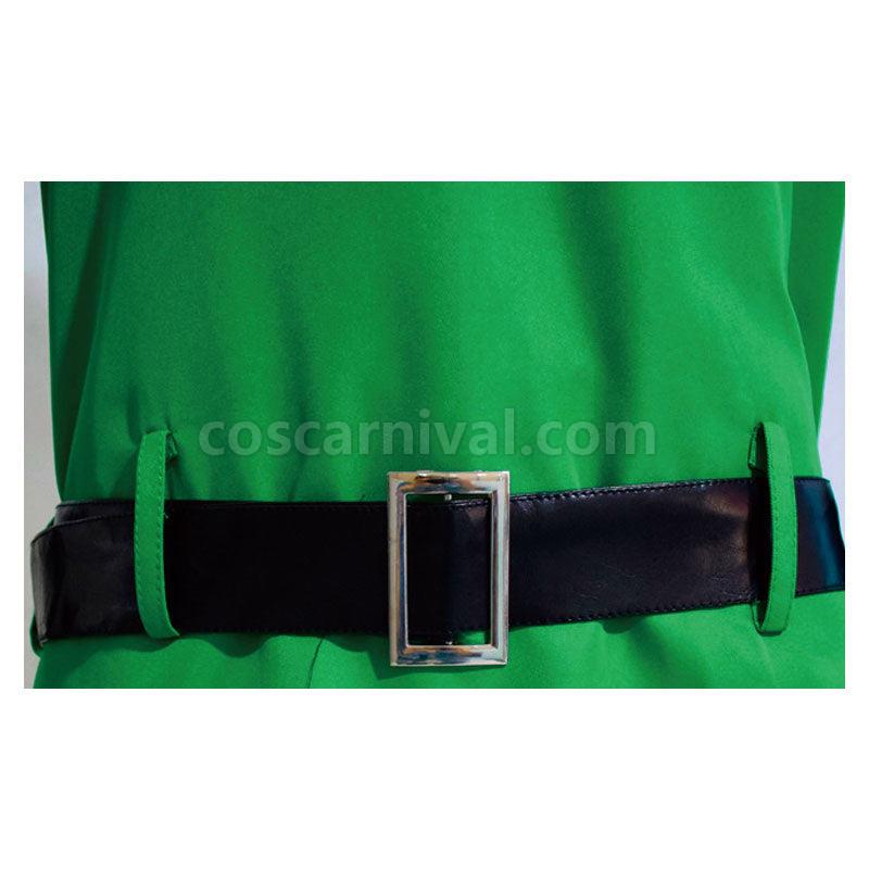 The Legend of Zelda Skyward Sword Link Cosplay Costume coscarnival01115210