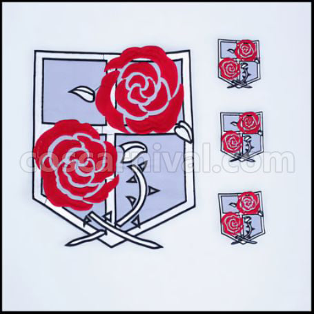 Attack on Titan Scout Regiment Levi Captain Cosplay Costume coscarnival - Back View