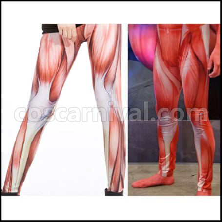Attack on Titan Colossal Titan Stockings Cosplay Costume coscarnival - Front View