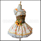 Honoka Kousaka Cosplay Costume — back view