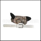 Mikagura School Suite Drama Club Akama Yuto Cosplay Costume coscarnival - Back View