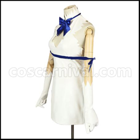 Is It Wrong to Try to Pick Up Girls in a Dungeon? Hestia Cosplay Costume coscarnival - Back View