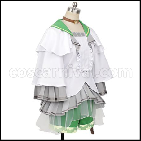 Uma Musume Pretty Derby Seiun Sky Cosplay Costume coscarnival - Back View
