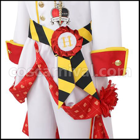 Twisted Wonderland Heartslabyul Dormitory Riddle Rosehearts Cosplay Costume coscarnival - Material Texture